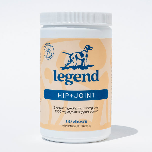 Hip+Joint